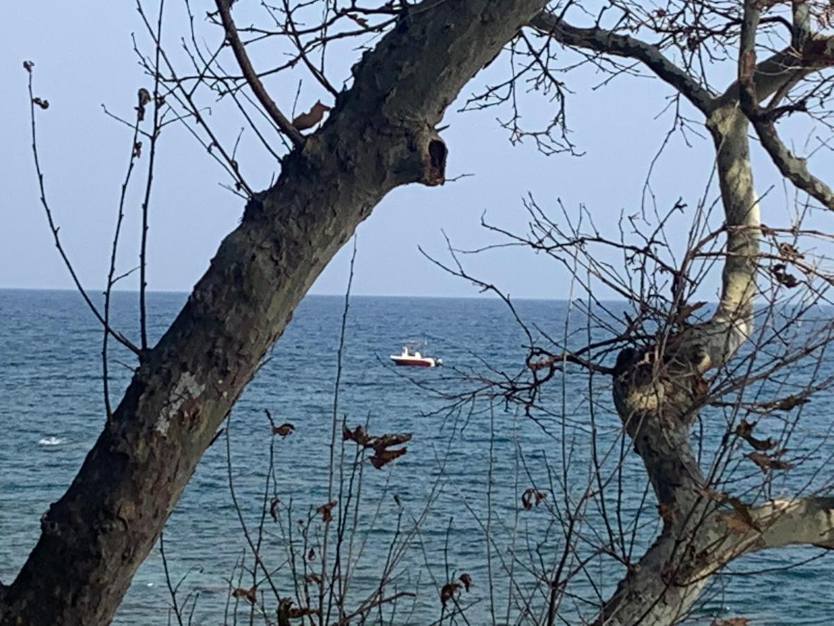 Pelion 7 Lives Villa Tsagarada Exteriör bild